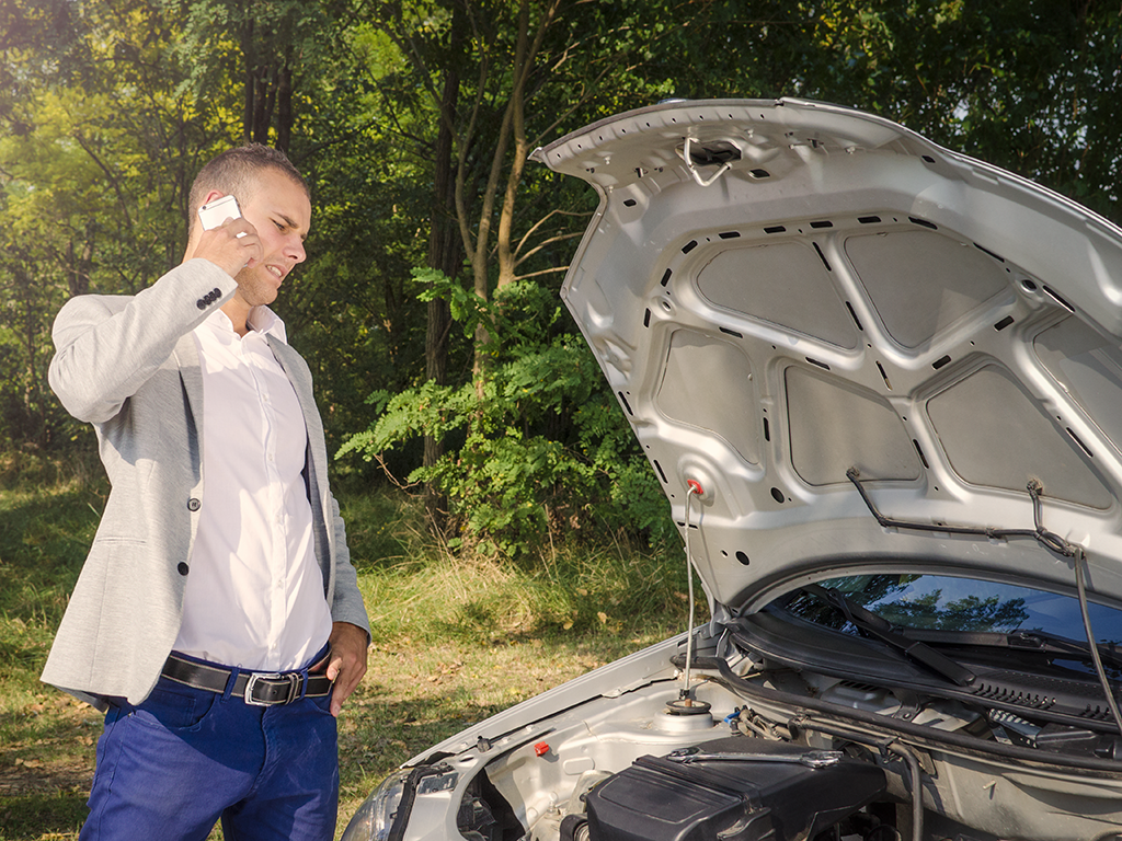 >Brza i Efikasna Procena